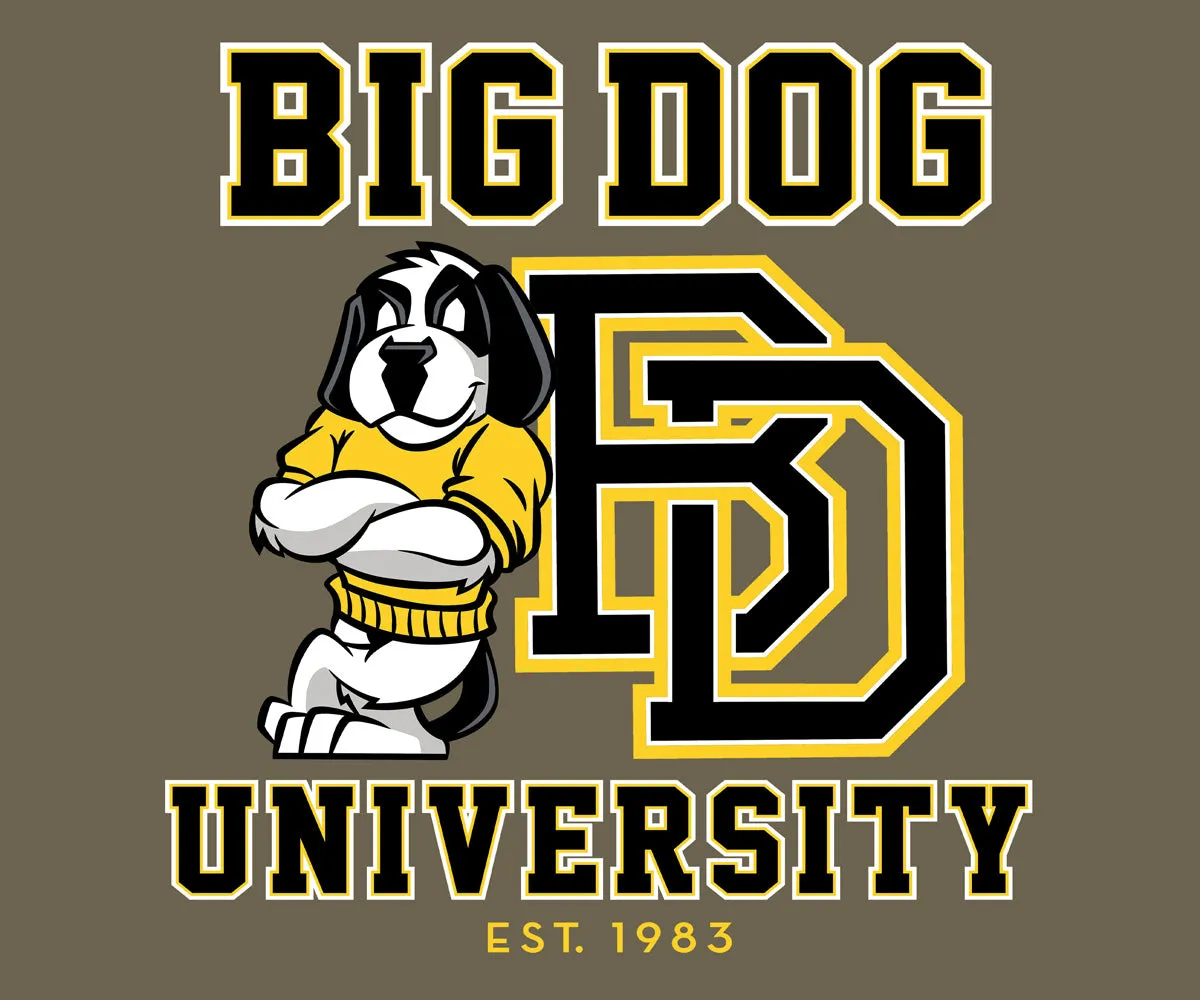 Bd University Black Gold T-shirt