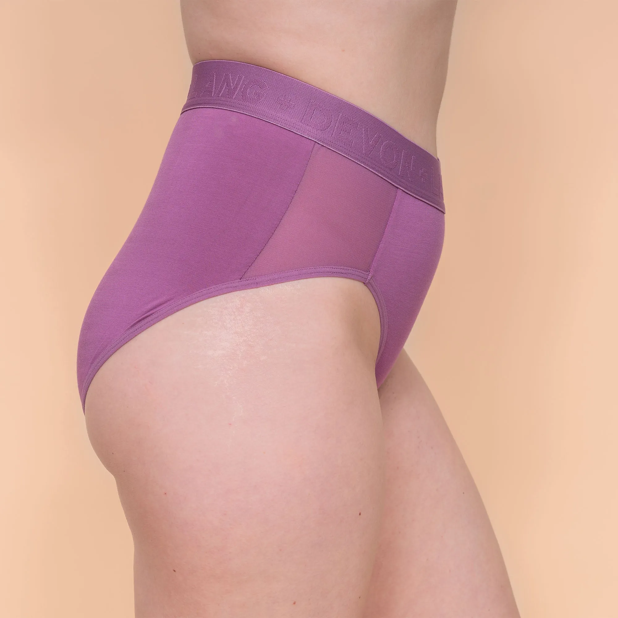 Bria 1.0 Bikini Brief - Bordeaux
