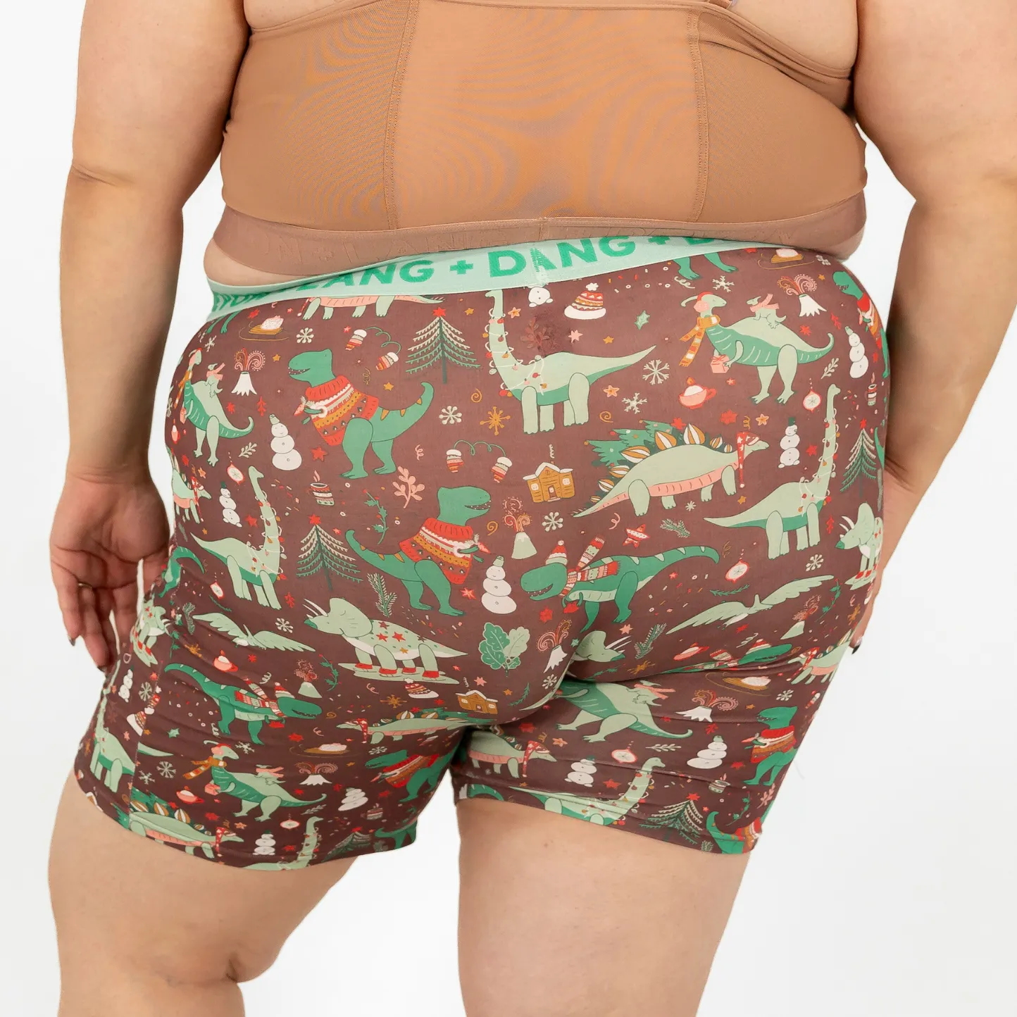 Bria 2.0 Boxer Brief - Chilly Dinos