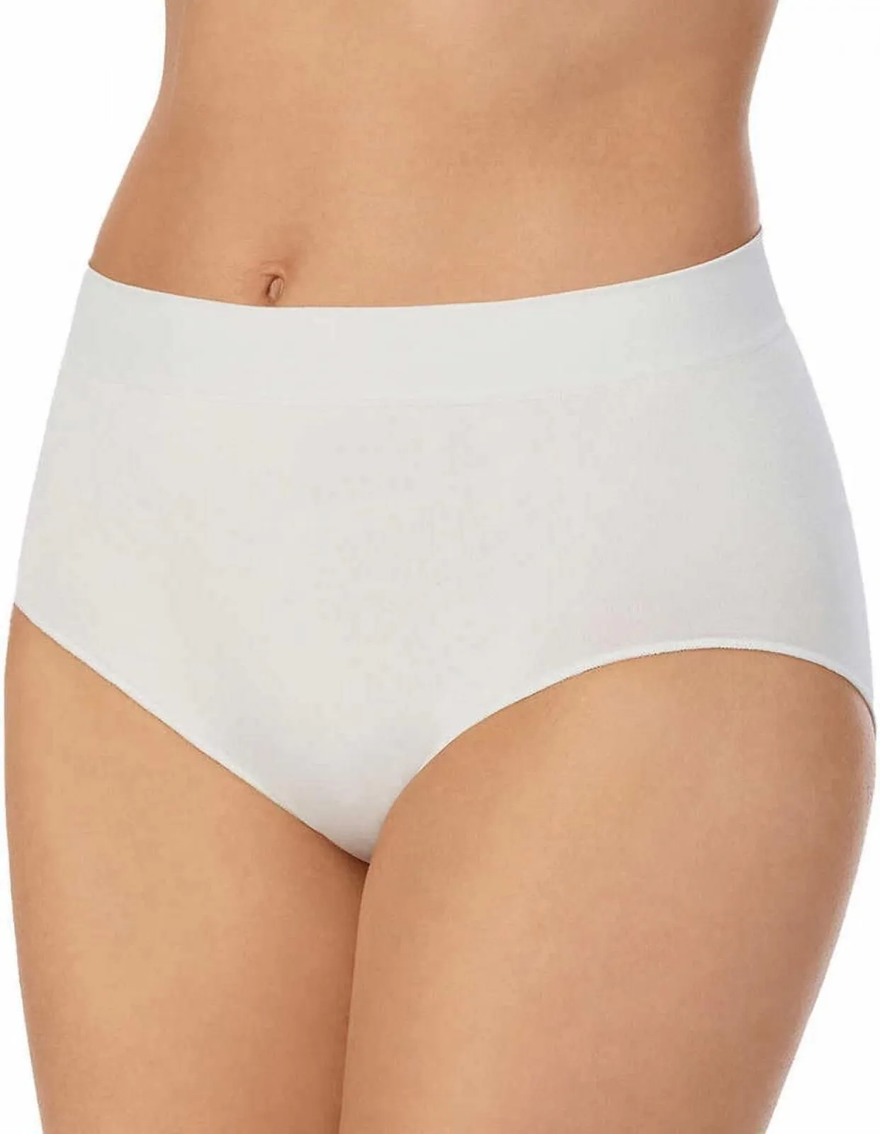 Carole Hochman Womens 5 Pack Seamless Brief 1374600 Blue / Lavender M