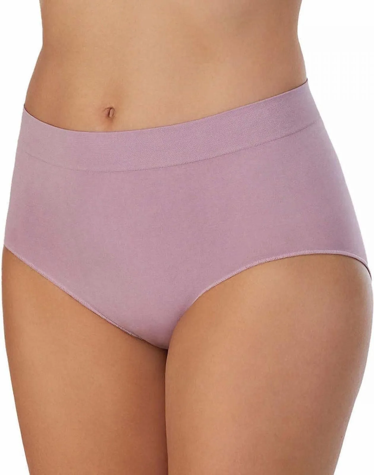 Carole Hochman Womens 5 Pack Seamless Brief 1374600 Blue / Lavender M