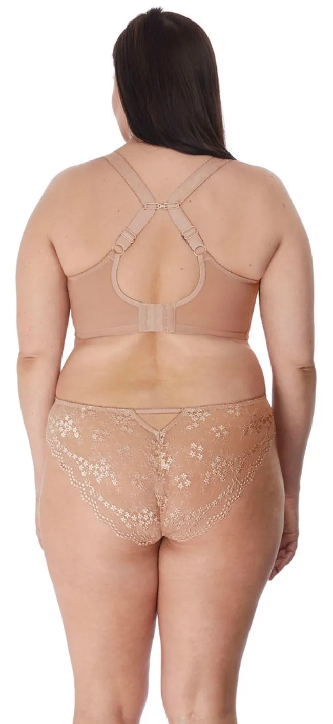Charley  EL4385-Brazilian Brief