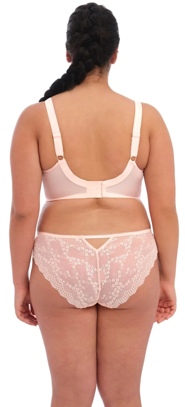 Charley  EL4385-Brazilian Brief