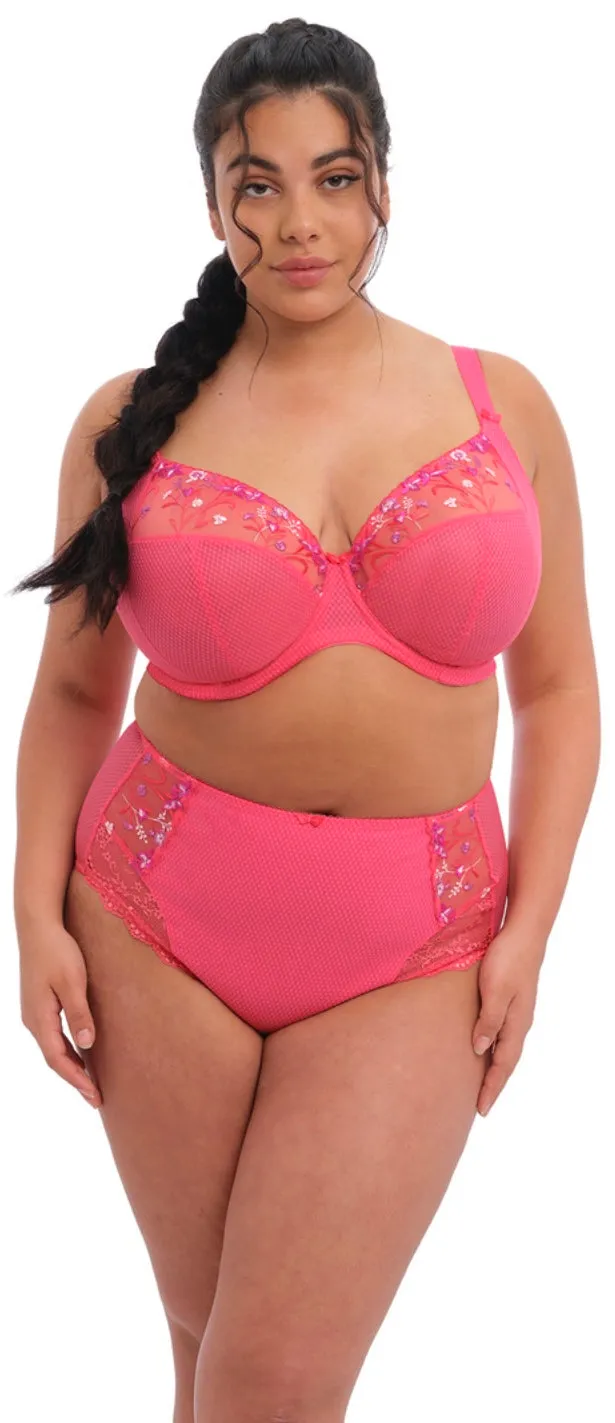 Charley EL4388 - Full Brief