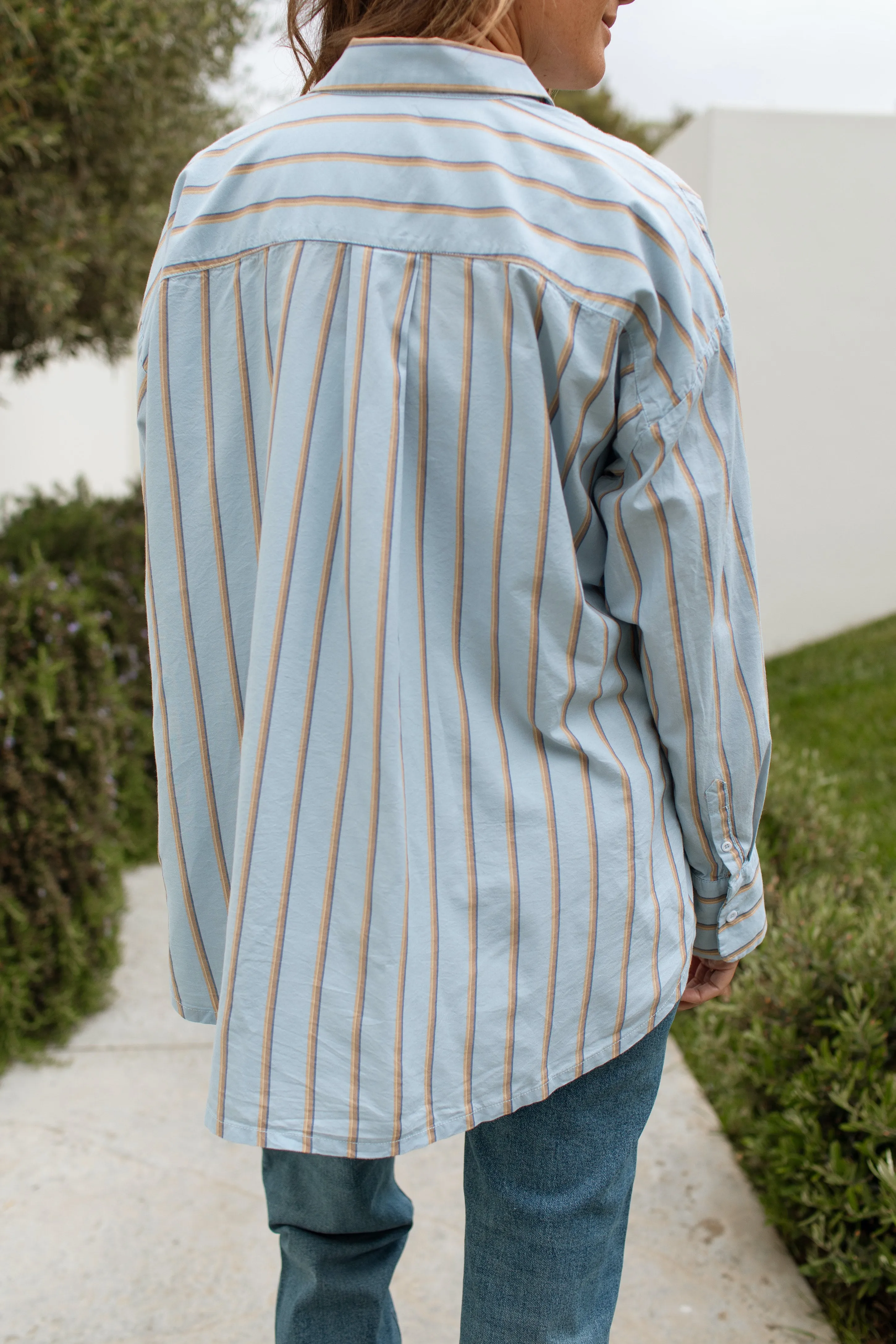 Cove Button Down
