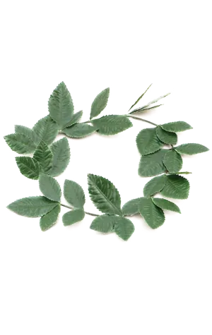 Green Roman Wreath Accessory