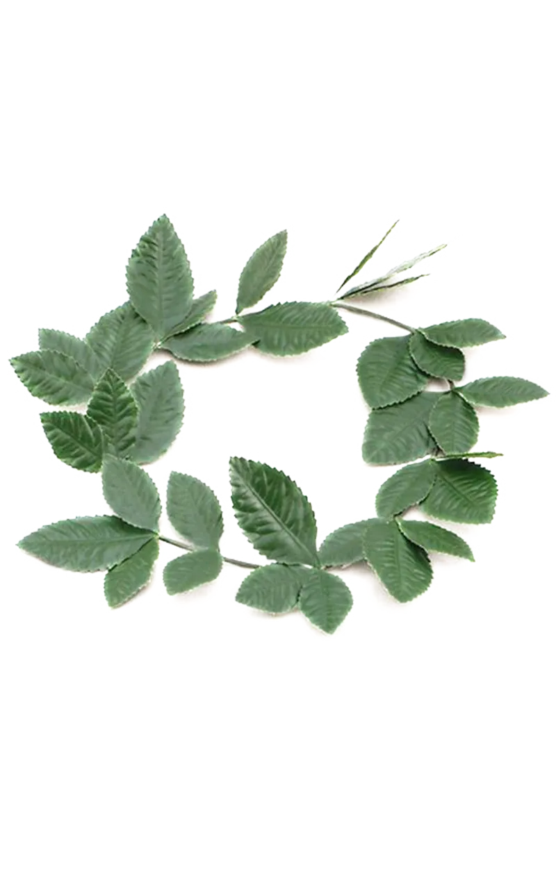 Green Roman Wreath Accessory