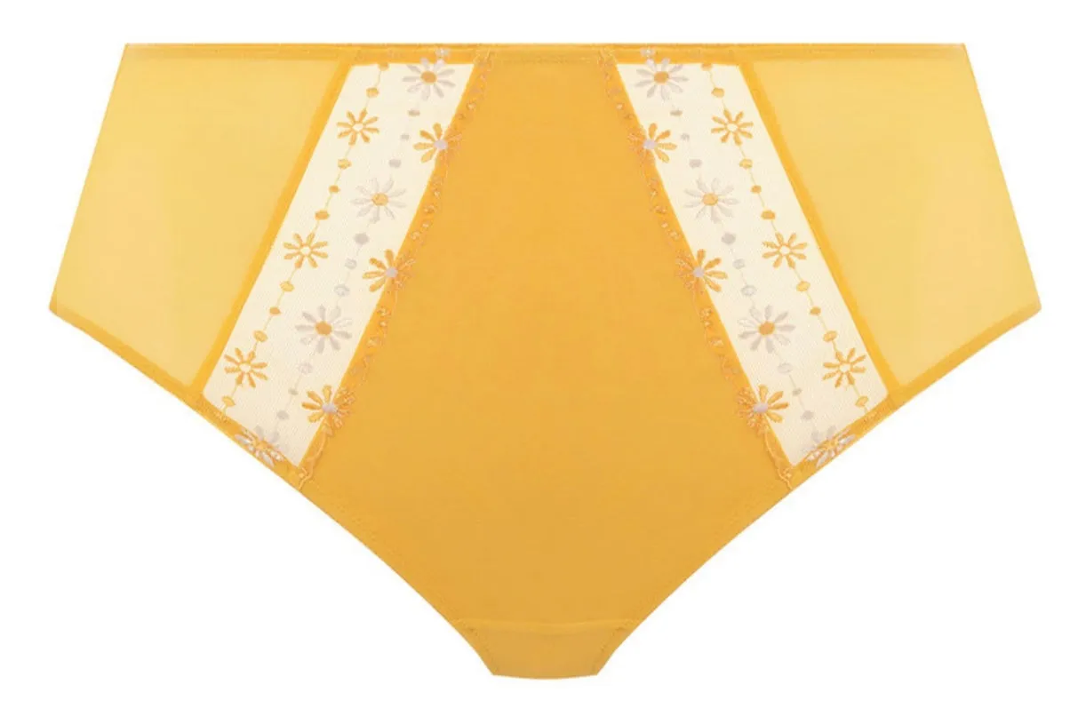 Matilda EL8906 Full Brief