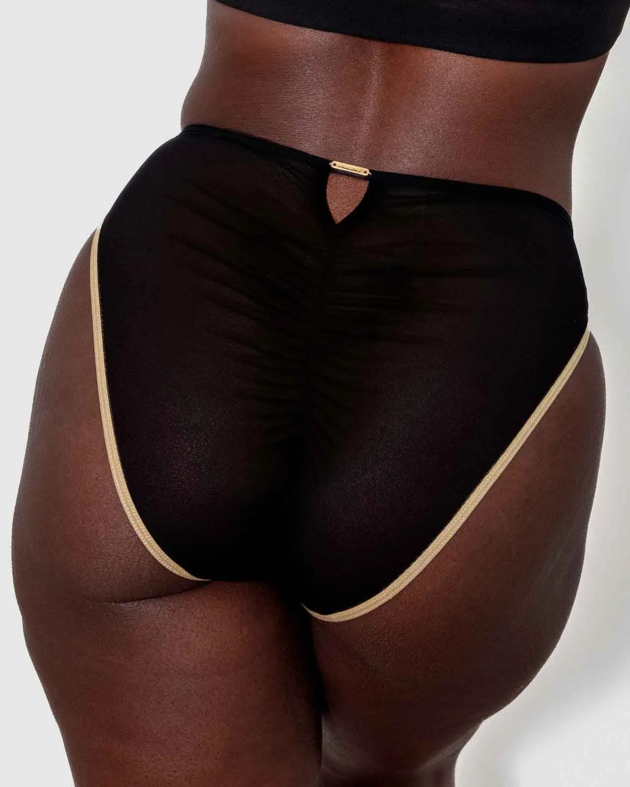 Mesh Keyhole Brief
