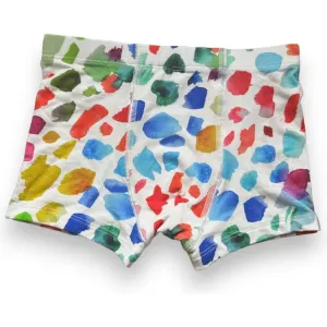 Paintbrush Boys Underwear