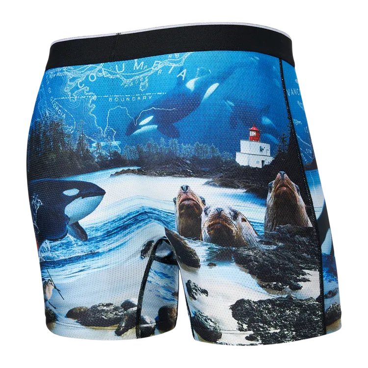 Volt Boxer Brief - Vancouver Island Multi